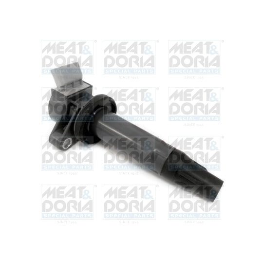 10780 Ignition coil