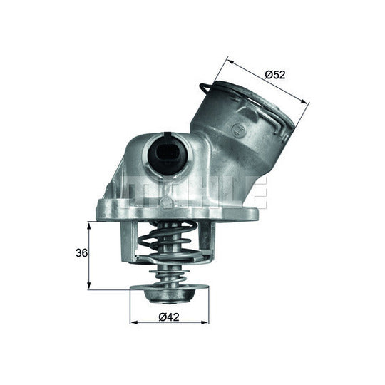 TM 29 100D Thermostat, coolant
