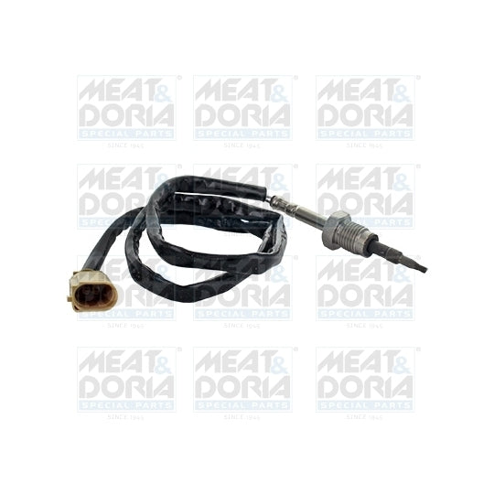 12352 Sensor, exhaust gas temperature