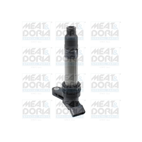 10831 Ignition coil