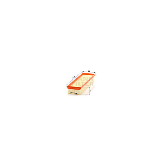 C 36 010 Air filter