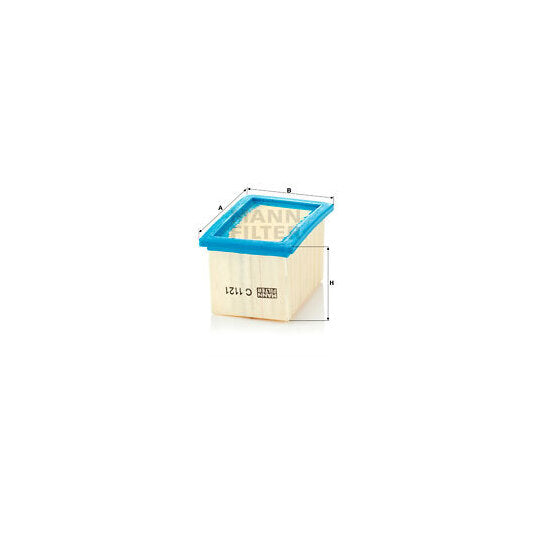 C 1121 Air filter