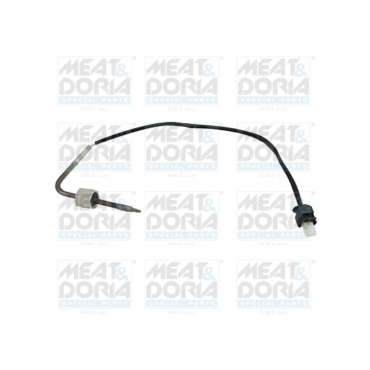 12396 Sensor, exhaust gas temperature