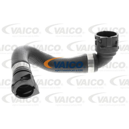 V20-3873 Radiator Hose