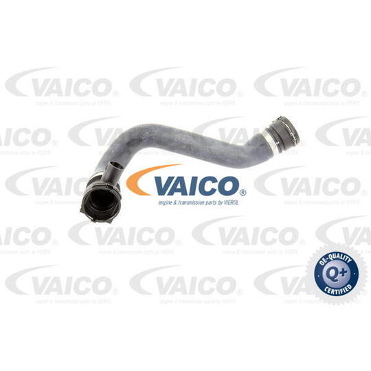 V20-0865 Radiator Hose