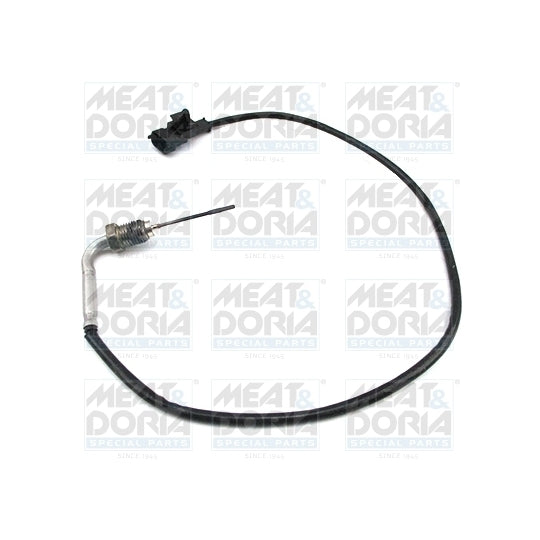 12461 Sensor, exhaust gas temperature