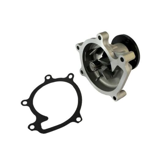 D12074TT Water pump