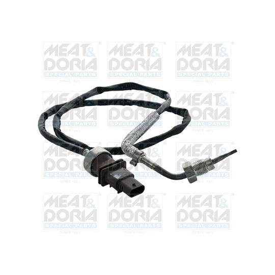12309 Sensor, exhaust gas temperature