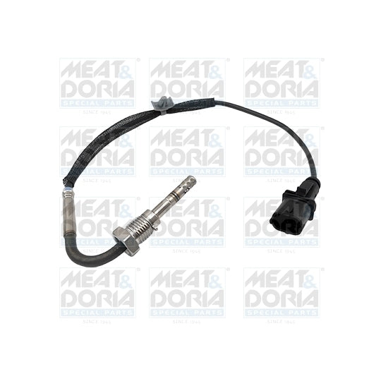 12403 Sensor, exhaust gas temperature