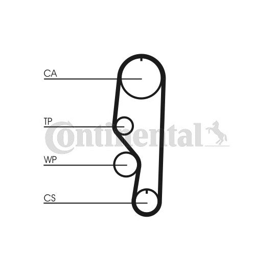 CT557 Timing Belt