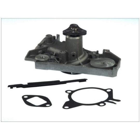 D10317TT Water pump
