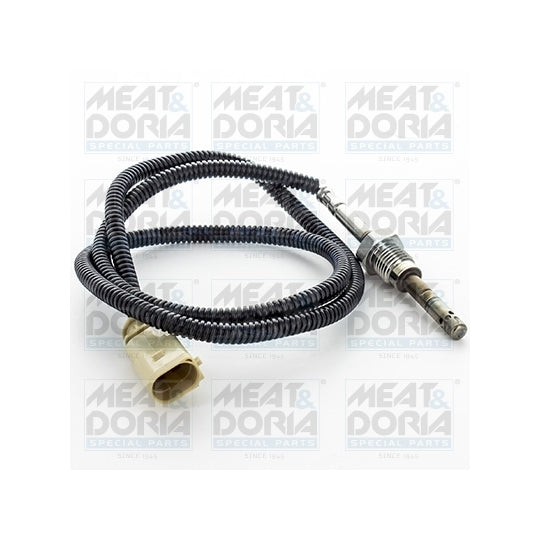 12344 Sensor, exhaust gas temperature