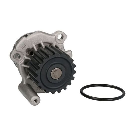 D1A024TT Water pump