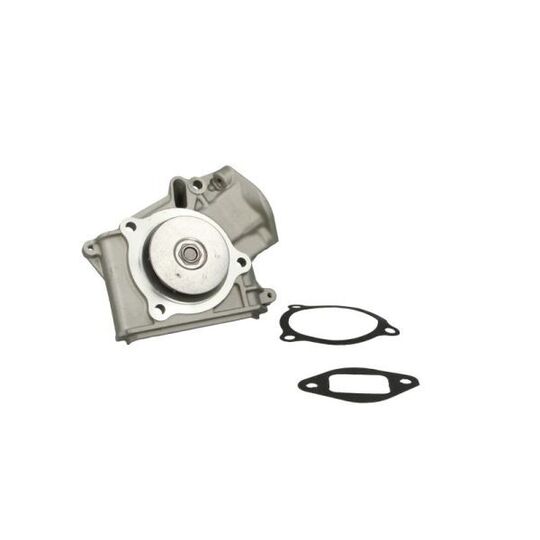 D10316TT Water pump