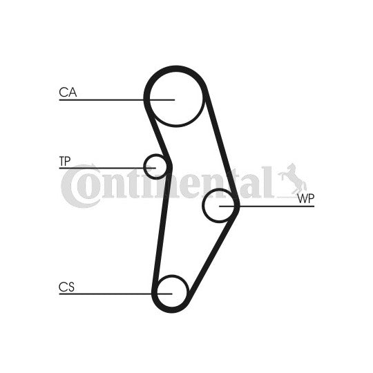 CT1049WP1 Water Pump & Timing Belt Set