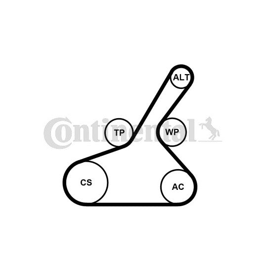 6PK1190K1 V-Ribbed Belt Set