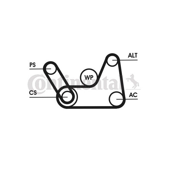 6PK1019 ELAST T1 V-Ribbed Belt Set
