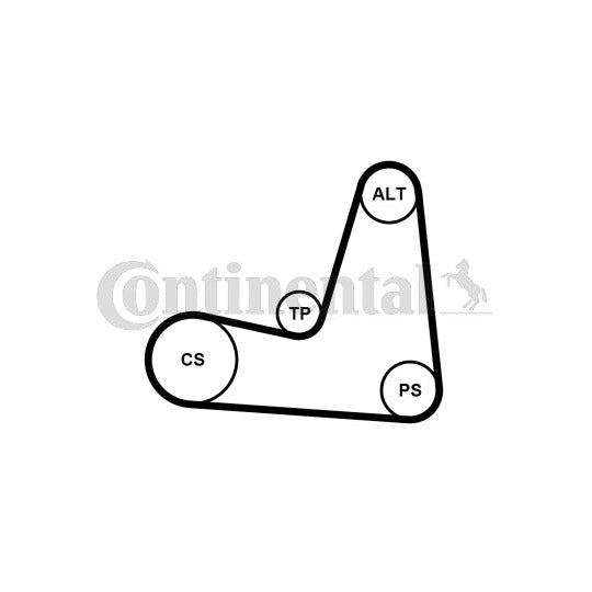 5PK1135K1 V-Ribbed Belt Set