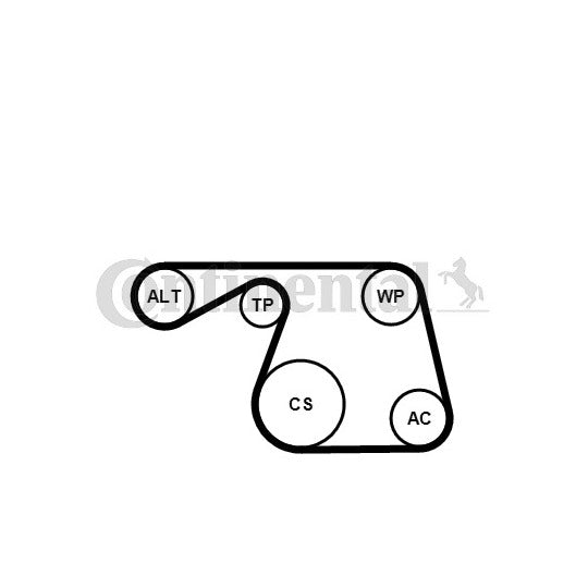 6PK1310K1 V-Ribbed Belt Set