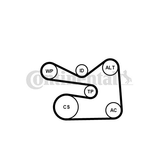 6PK1733WP3 Water Pump + V-Ribbed Belt Set