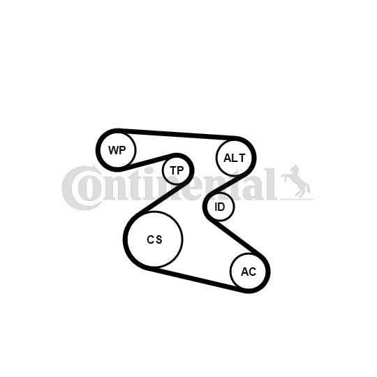 6PK1873WP1 Water Pump + V-Ribbed Belt Set