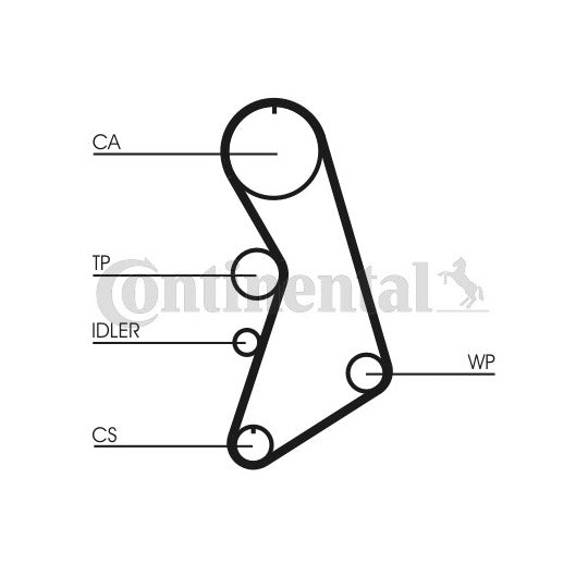 CT909WP5 Water Pump & Timing Belt Set