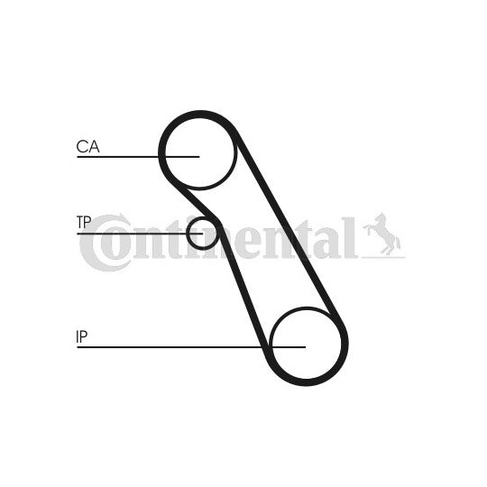 CT983WP1 Water Pump & Timing Belt Set
