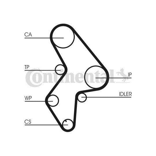CT1061WP3 Water Pump & Timing Belt Set