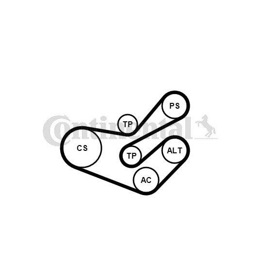 6PK1750K3 V-Ribbed Belt Set