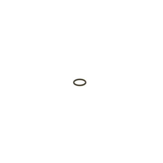 F 00R J01 947 Seal Ring