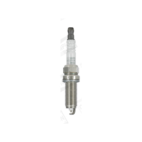 OE261 Spark Plug