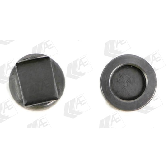 TTP4 Thrust Piece, inlet/outlet valve