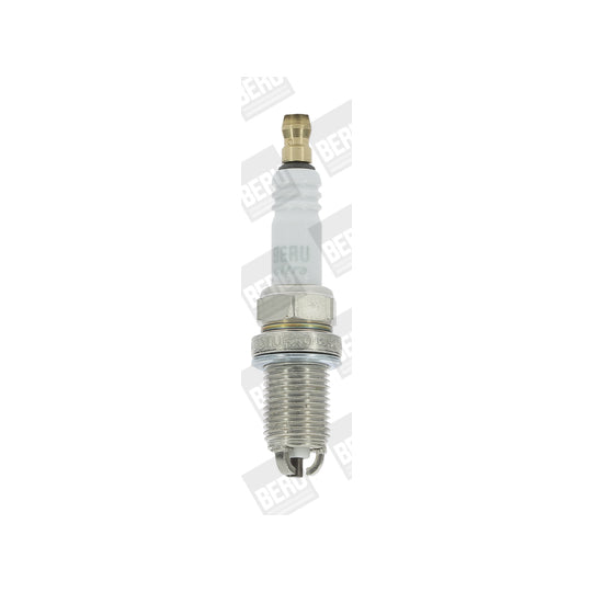 Z 121 Spark Plug