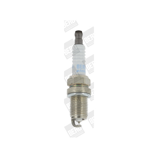 Z 206 Spark Plug
