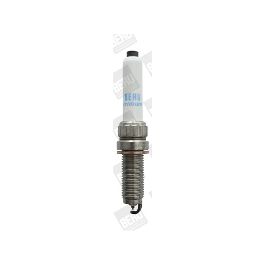 Z366 Spark Plug