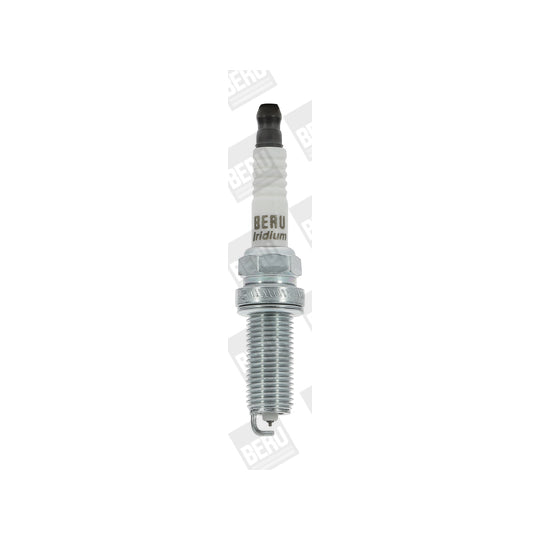 Z370 Spark Plug