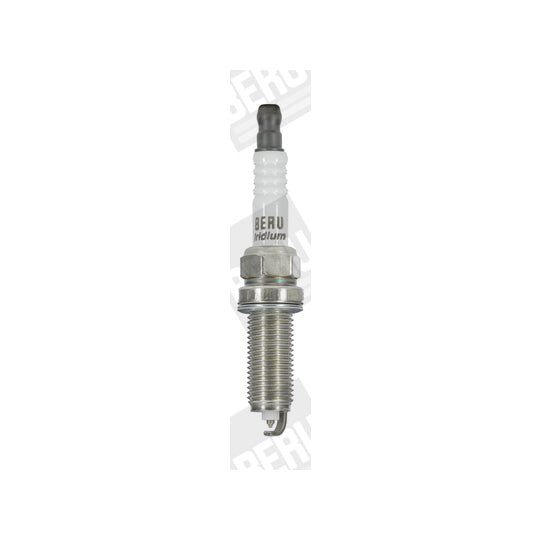 Z379 Spark Plug