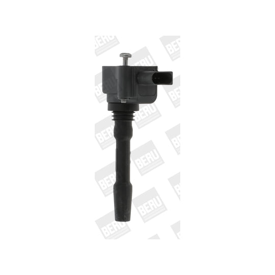 ZSE163 Ignition coil